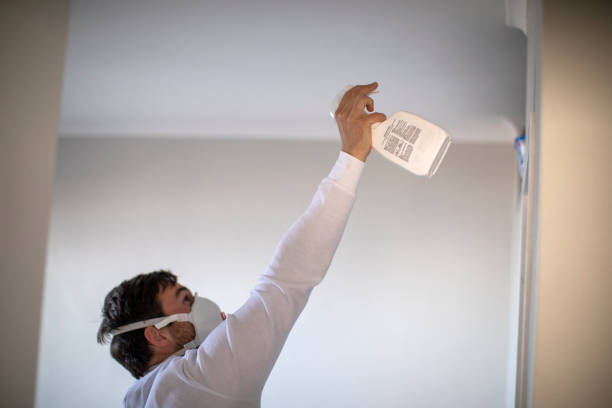 Best Local Mold Removal Service  in Three Lakes, WA