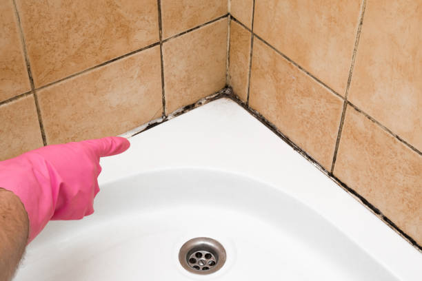 Best Mold Testing  in Three Lakes, WA